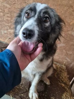 623806393 812640211847054 1974442847881971543 n