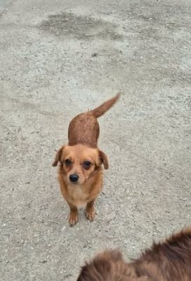 623856049 2448317315586017 2396839757110870926 n