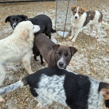 623969589 25627967540206909 6626626666583492695 n