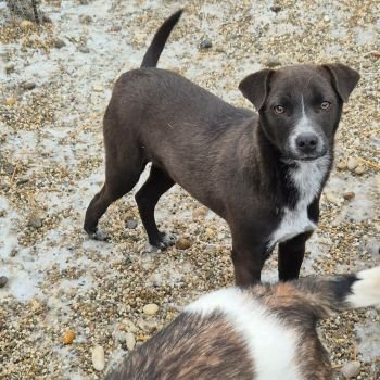 624203151 2102739657142251 4362423700703193843 n