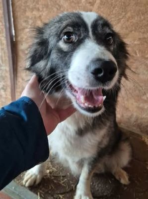 626050608 3276418122533822 4957925516343941594 n