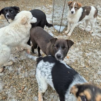 626137456 1601783144599538 6387546899436152761 n