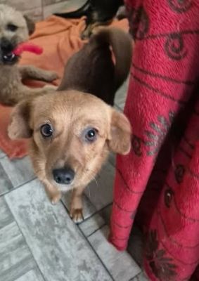 626294265 1946962232897624 3777387805089277320 n