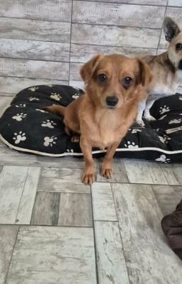 626368767 1335349795286610 8097569674102491206 n