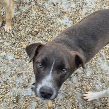 627729690 1533857664354943 5841443089946655044 n