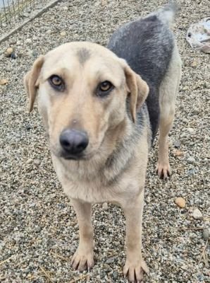 628205534 1830966537618331 2691891950915716947 n