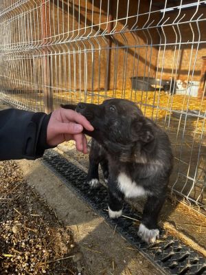 638181370 26016865564620691 2307763215088464872 n