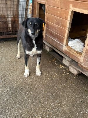 68b96b76 e32e 45ad bb80 8037a91d1a64 768x1024