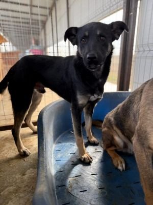 941072f2 4a22 4152 a098 122d67e3ccaa 768x1024 (1)