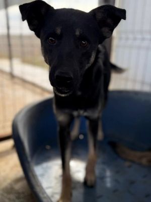 9ece1d6c 06cb 45f4 bfdc cd5180cee6ca 1 768x1025