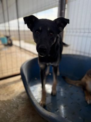 9ece1d6c 06cb 45f4 bfdc cd5180cee6ca 768x1024