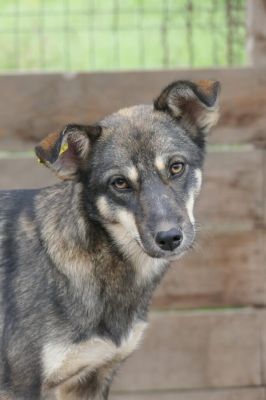 Bonnie profil2 682x1024