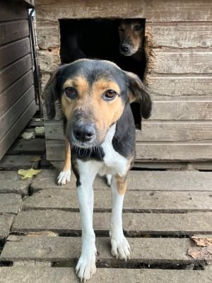 FullSizeRender 1 768x1024