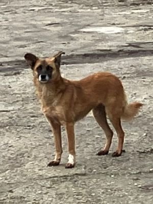 FullSizeRender 5 768x1024