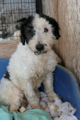 IMG 9991 683x1024 (1)