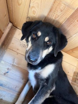 Millo August2 768x1024