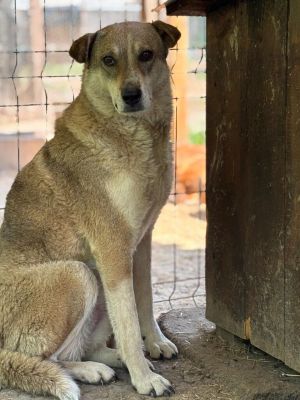 Nika Mai4 1 768x1024