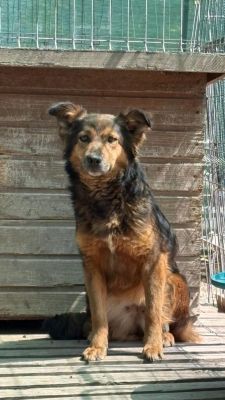 Sascha Mai251 576x10240