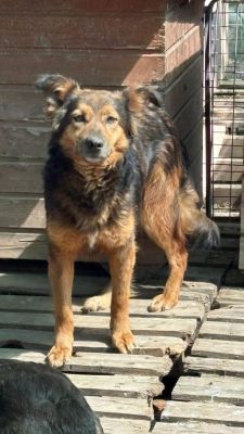 Sascha Mai256 576x10244