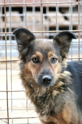 Sascha februar2 682x10200