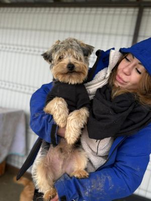 WhatsApp Image 2025 12 30 at 16.00.32