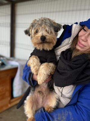 WhatsApp Image 2025 12 30 at 16.00.36