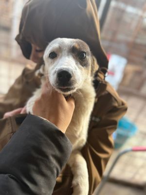 WhatsApp Image 2026 01 03 at 11.06.31