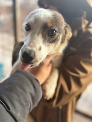 WhatsApp Image 2026 01 03 at 11.06.32