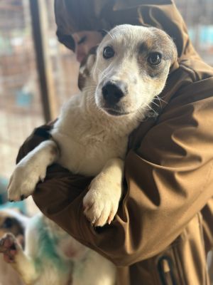 WhatsApp Image 2026 01 03 at 11.06.33