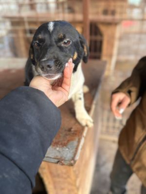 WhatsApp Image 2026 01 03 at 11.08.36