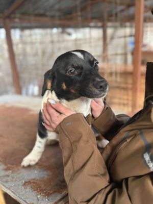 WhatsApp Image 2026 01 03 at 11.08.37