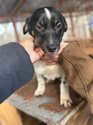 WhatsApp Image 2026 01 03 at 11.08.38