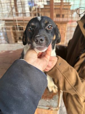 WhatsApp Image 2026 01 03 at 11.08.39