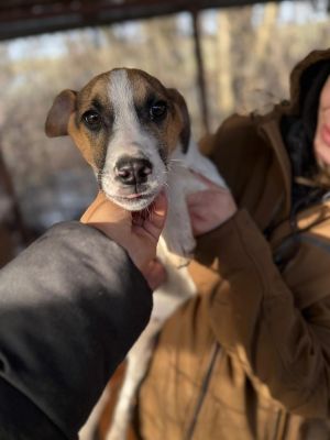 WhatsApp Image 2026 01 03 at 11.10.11