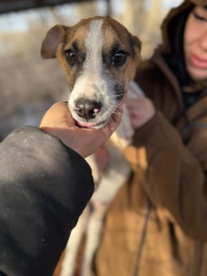 WhatsApp Image 2026 01 03 at 11.10.111