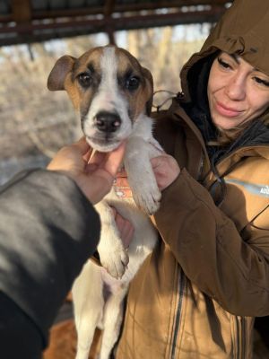 WhatsApp Image 2026 01 03 at 11.10.13