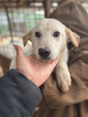 WhatsApp Image 2026 01 03 at 11.14.36