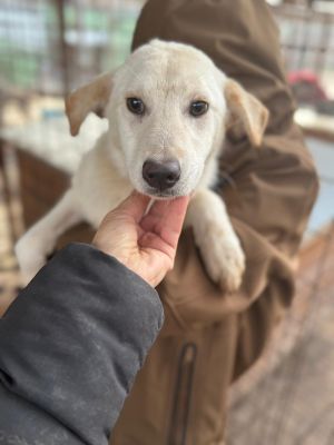 WhatsApp Image 2026 01 03 at 11.14.38