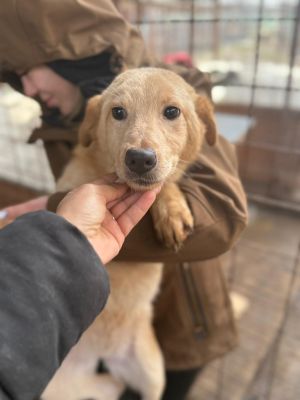 WhatsApp Image 2026 01 03 at 11.16.00