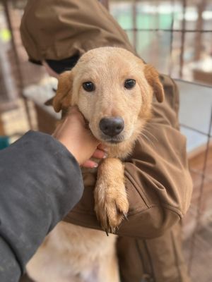 WhatsApp Image 2026 01 03 at 11.16.1.