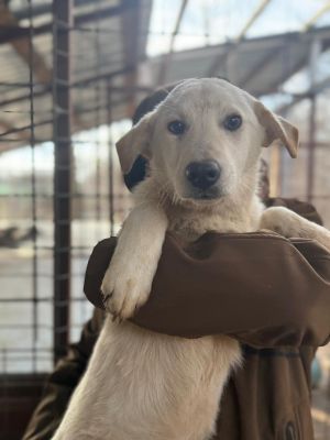 WhatsApp Image 2026 01 03 at 11,14.36