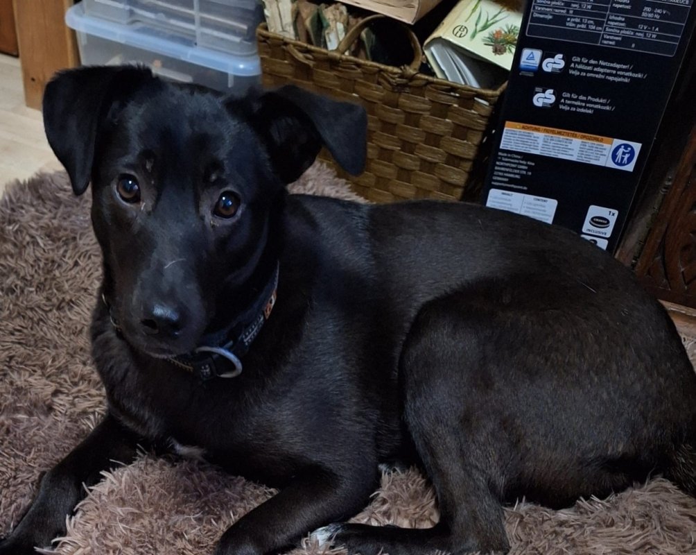 WhatsApp Image 2026 01 06 at 19.21.31