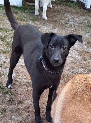 WhatsApp Image 2026 01 06 at 19.21.33