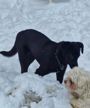 WhatsApp Image 2026 01 06 at 19.21.34