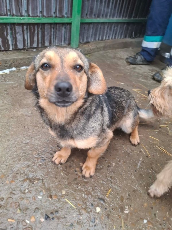 WhatsApp Image 2026 01 09 at 18.23.44 (1)