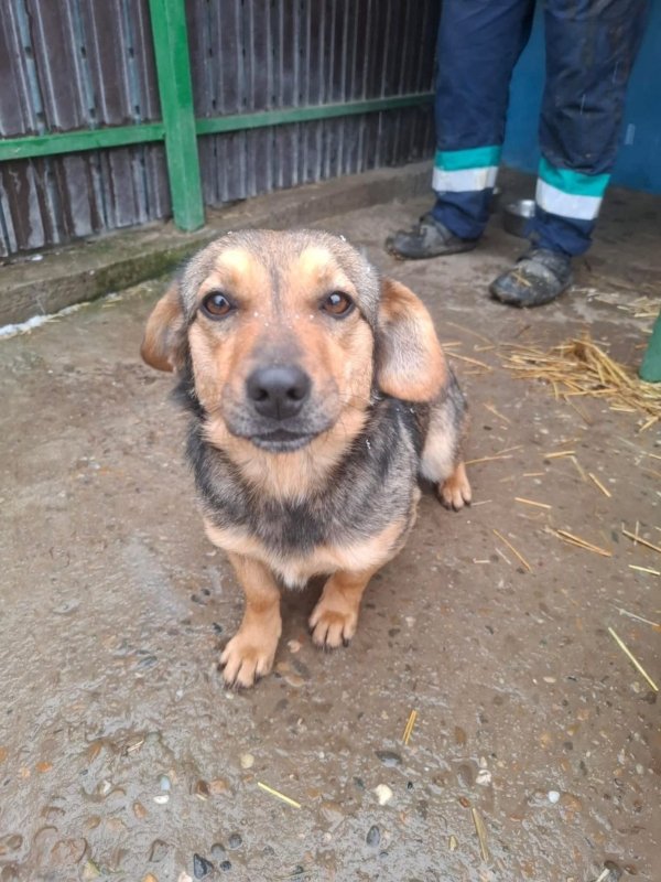 WhatsApp Image 2026 01 09 at 18.23.44 (2)