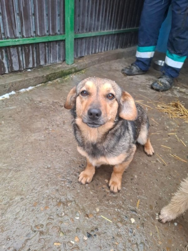 WhatsApp Image 2026 01 09 at 18.23.46 (1)