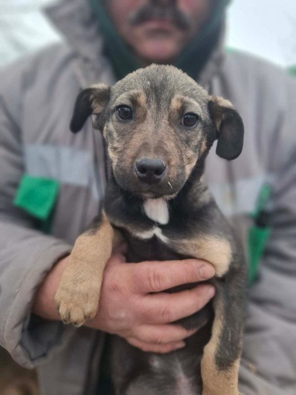 WhatsApp Image 2026 01 09 at 18.23.46 (1)