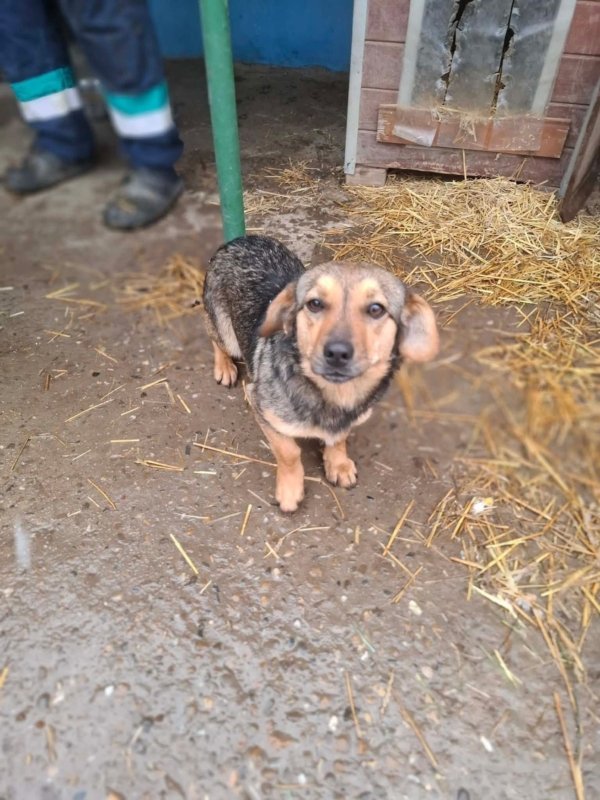 WhatsApp Image 2026 01 09 at 18.23.46 (2)