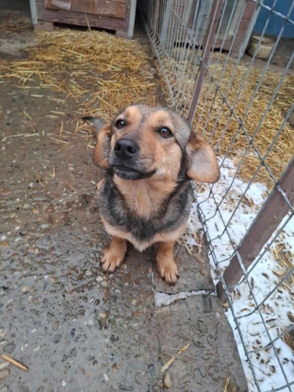 WhatsApp Image 2026 01 09 at 18.23.46 (3)